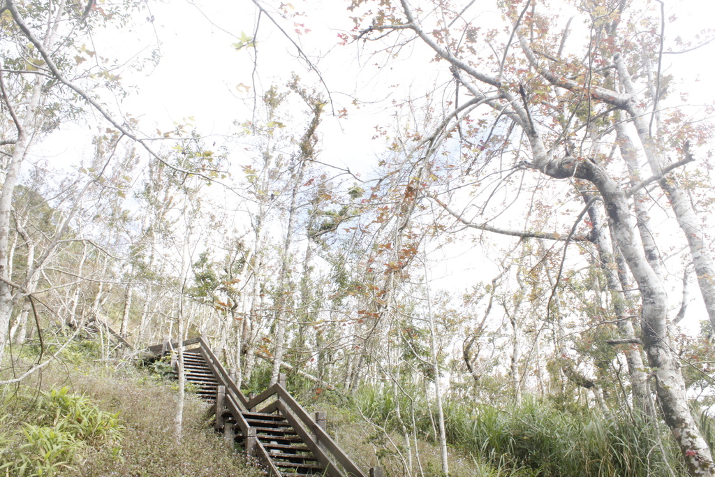 _MG_4241.JPG _MG_4241.JPG