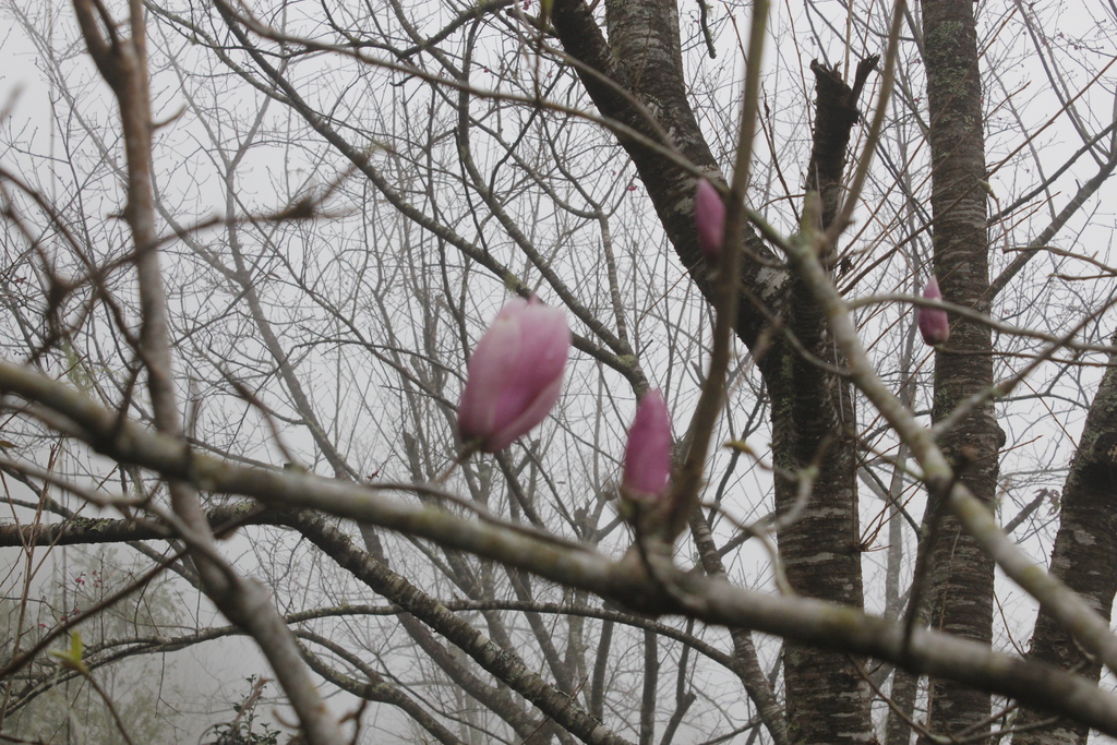 _MG_4248.JPG _MG_4248.JPG