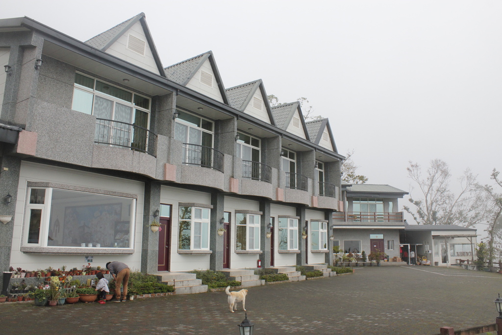 _MG_4251.JPG _MG_4251.JPG