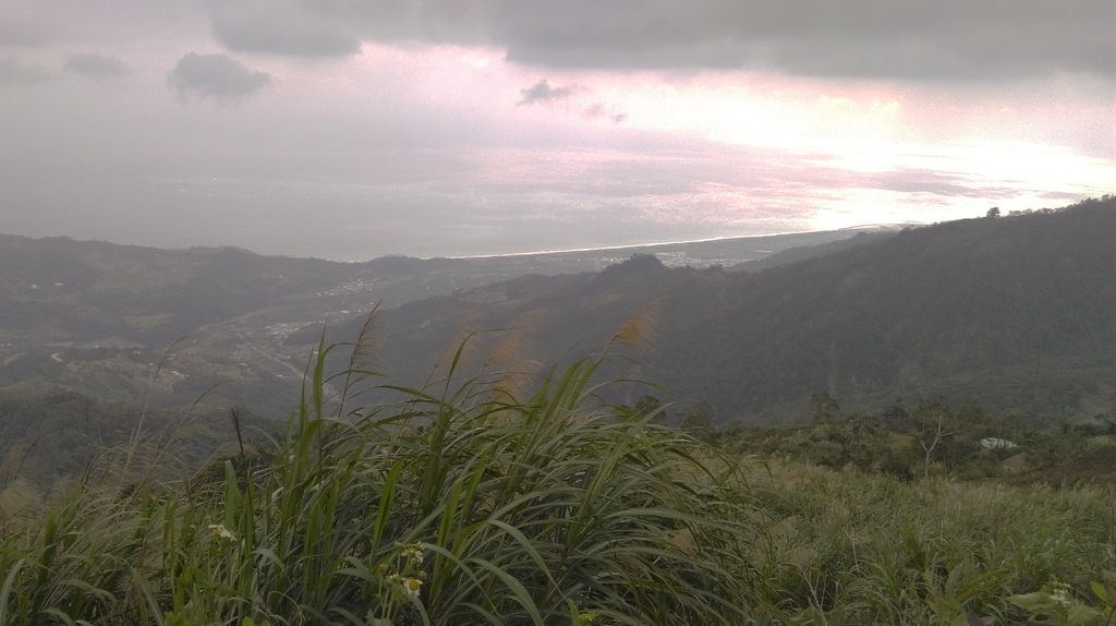 IMAG0652.jpg IMAG0652.jpg