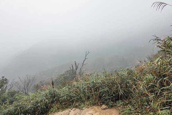 【健行紀錄】宜蘭抹茶山．夜宿山莊，體會樸實無華的登山文化