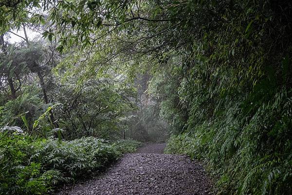 【健行紀錄】宜蘭抹茶山．夜宿山莊，體會樸實無華的登山文化