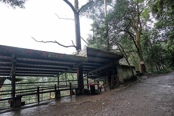 【健行紀錄】宜蘭抹茶山．夜宿山莊，體會樸實無華的登山文化