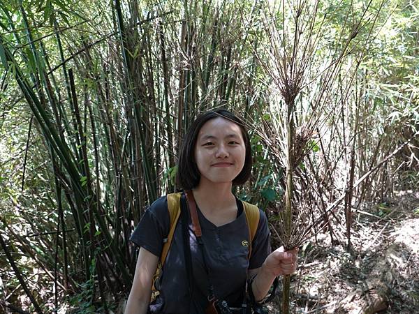 【健行紀錄】台北大縱走第一段．輕鬆愜意的竹林與鄉村小徑