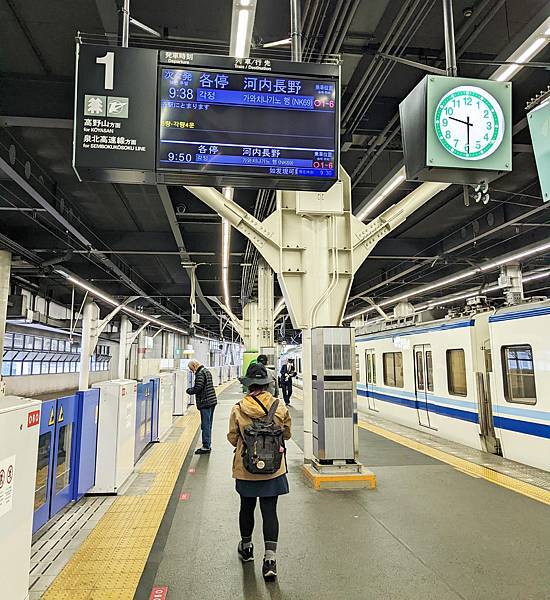 【健行紀錄】大阪金剛山．感受人文遺跡與無人的山毛櫸林間小徑