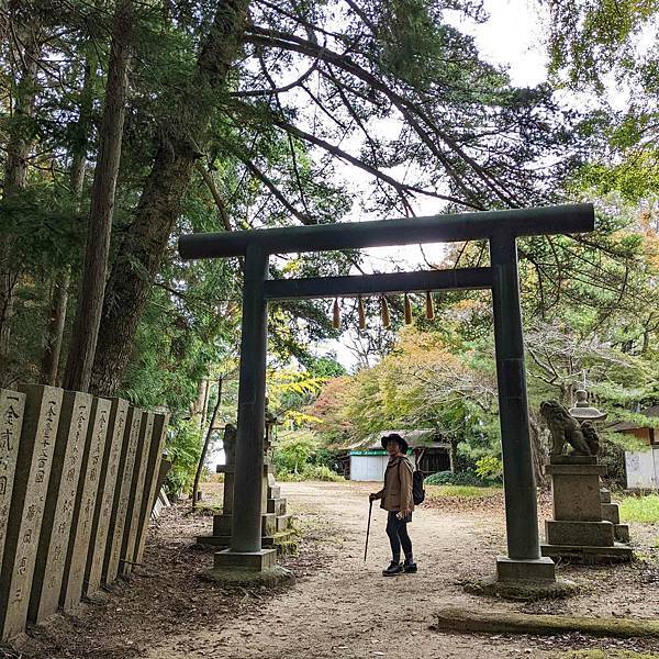 【健行紀錄】大阪金剛山．感受人文遺跡與無人的山毛櫸林間小徑