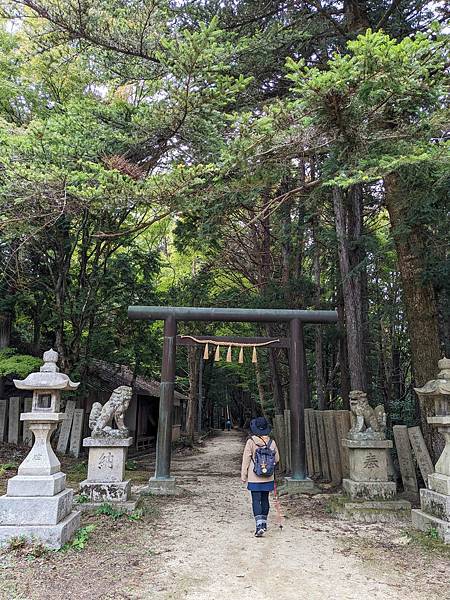 【健行紀錄】大阪金剛山．感受人文遺跡與無人的山毛櫸林間小徑