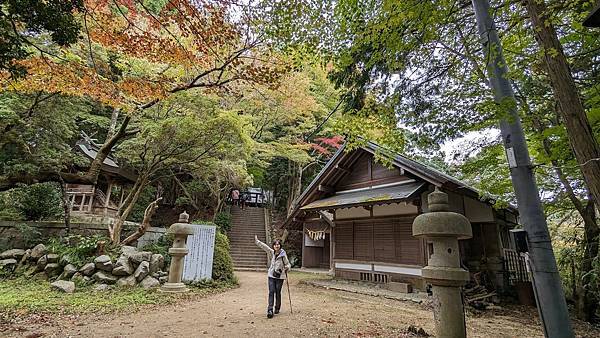 【健行紀錄】大阪金剛山．感受人文遺跡與無人的山毛櫸林間小徑