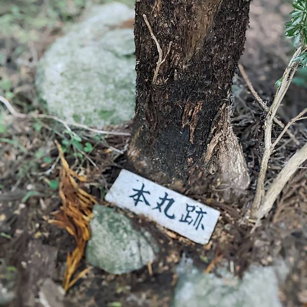 【健行紀錄】大阪金剛山．感受人文遺跡與無人的山毛櫸林間小徑