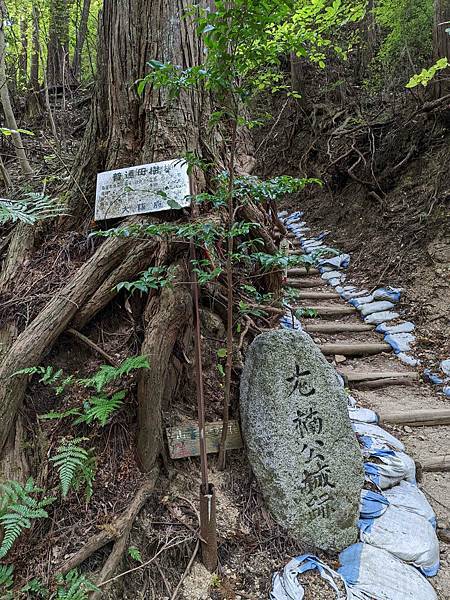 【健行紀錄】大阪金剛山．感受人文遺跡與無人的山毛櫸林間小徑