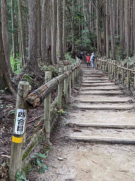 【健行紀錄】大阪金剛山．感受人文遺跡與無人的山毛櫸林間小徑