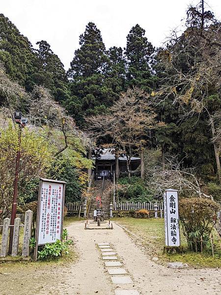 【健行紀錄】大阪金剛山．感受人文遺跡與無人的山毛櫸林間小徑