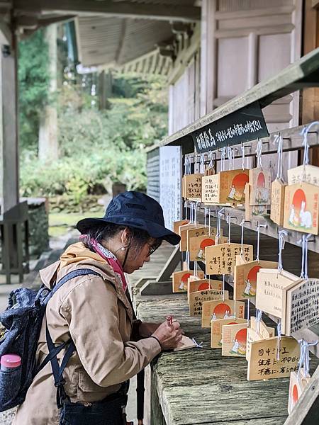 【健行紀錄】大阪金剛山．感受人文遺跡與無人的山毛櫸林間小徑