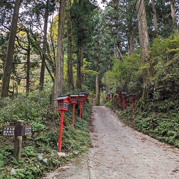 【健行紀錄】大阪金剛山．感受人文遺跡與無人的山毛櫸林間小徑