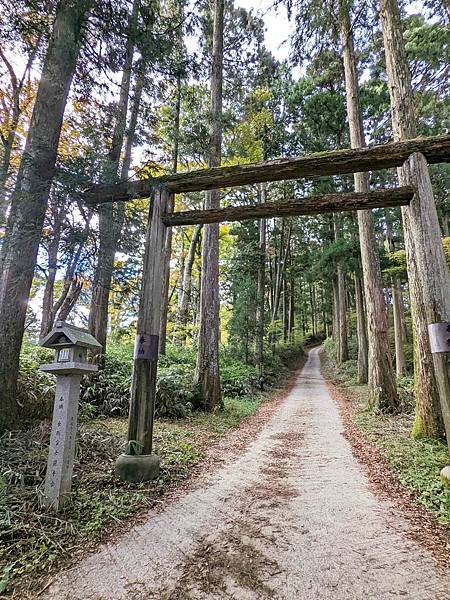 【健行紀錄】大阪金剛山．感受人文遺跡與無人的山毛櫸林間小徑