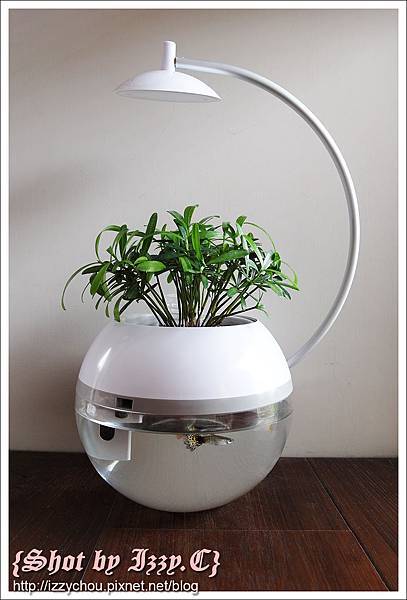 arky 香草與魚 herb & fish arky 香草與魚 herb & fish