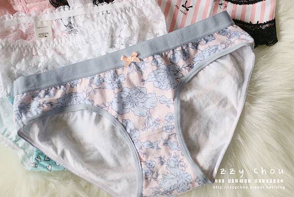 anden hud 內褲