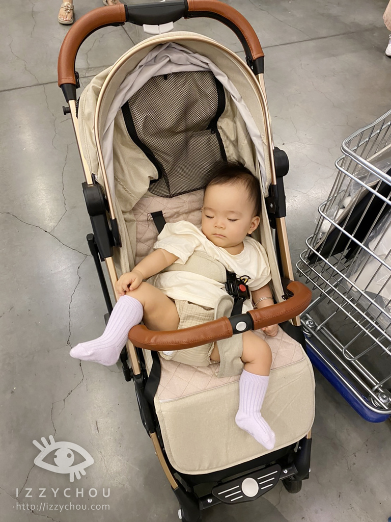 BabyTW 歐式推車 可折疊 嬰兒手推車