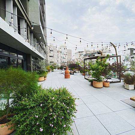 S__41017351.jpg S__41017351.jpg