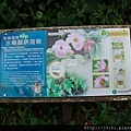 20110924-177.jpg