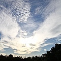 20111106-063.jpg