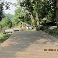 IMG_8141.jpg