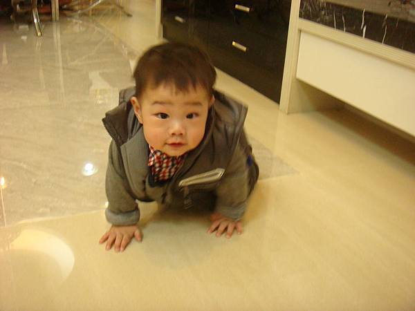 DSC09550 DSC09550