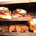 IMG_8183.JPG