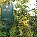IMG_8215.JPG