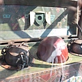 IMG_8175.JPG