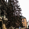 IMG_1031.JPG