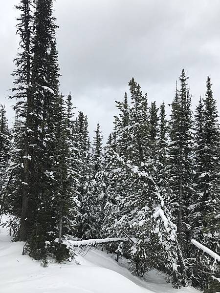 IMG_5971.JPG