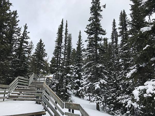 IMG_5981.JPG