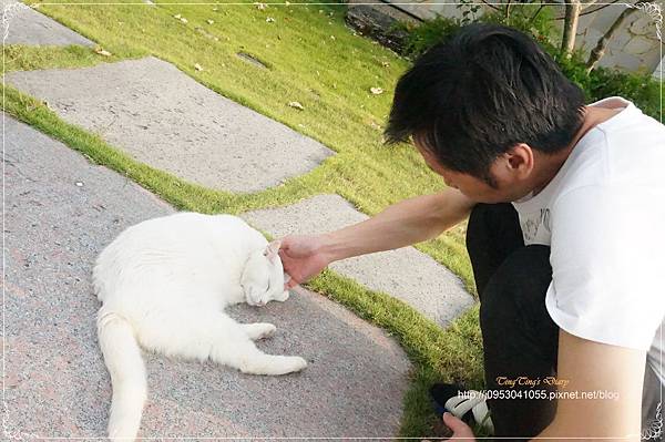 DSC01713_副本.jpg