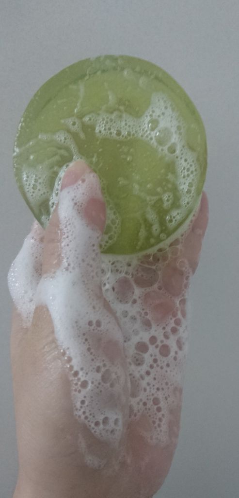 試用