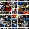 tree_of_life_ver2.jpg