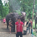 大象合照2.jpg