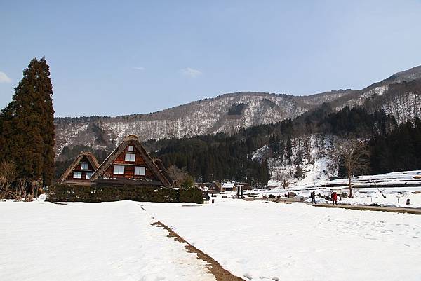 IMG_7014.jpg IMG_7014.jpg