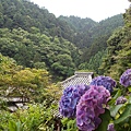 DSCN1767 (复制).jpg