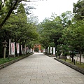 DSCN1981 (复制).jpg