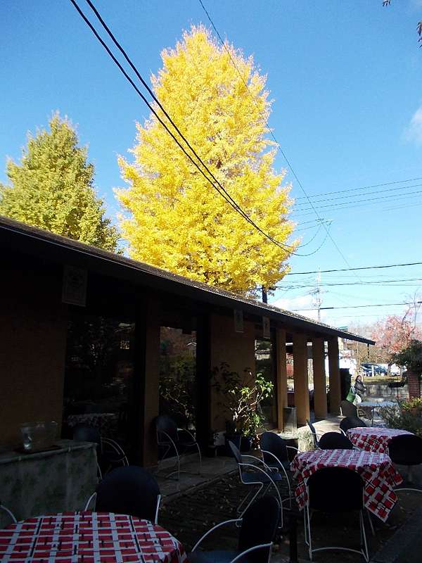 京 紅葉 庭園野趣餐點佳noanoa ノアノア 橙光小田園 痞客邦