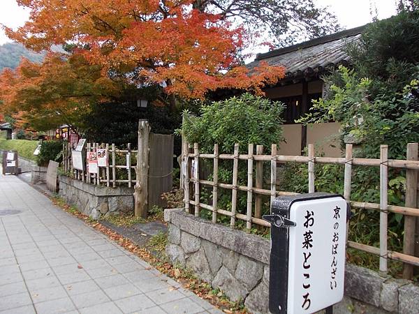 京 紅葉 橋本關雪紀念館 和食お菜ところ Osai Tokoro 橙光小田園 痞客邦