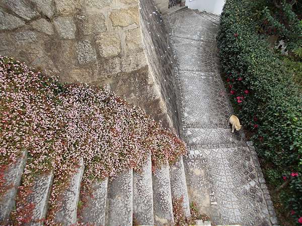 尾道文學紀念室 志賀直哉故居 橙光小田園 痞客邦 尾道文學紀念室 志賀直哉故居 橙光小田園 痞客邦