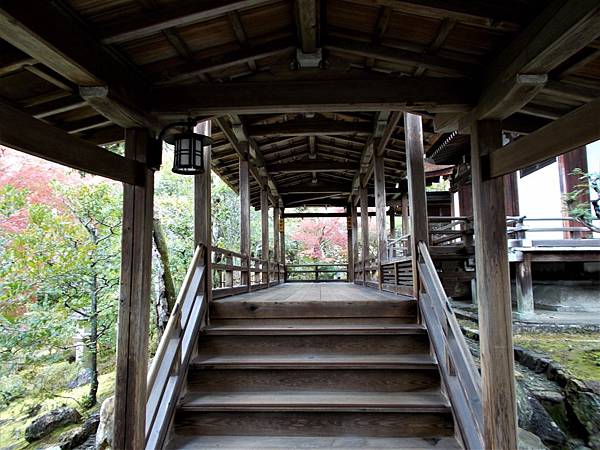 楓韻京都：華麗行列的仁和寺（二王門、御殿、南庭、北庭、五重塔