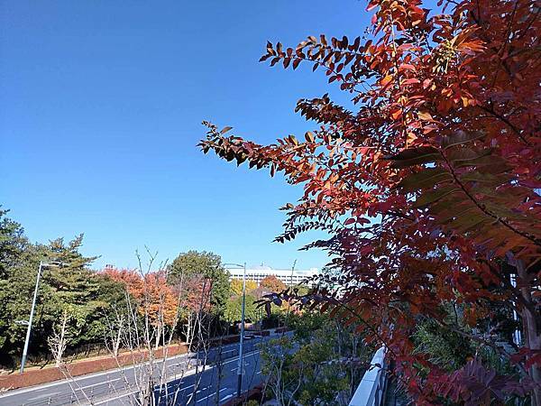 秋色獵人東京旅：立川 Sorano  Hotel 豐美的早餐