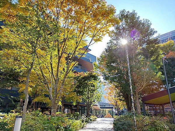 秋色獵人東京旅：立川 Sorano  Hotel 豐美的早餐