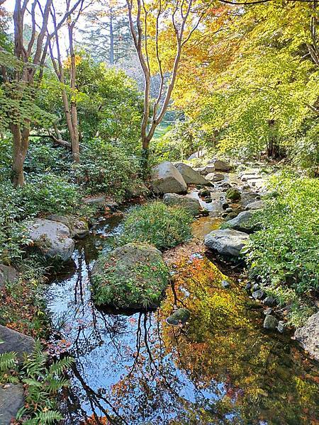 秋色獵人東京旅：日本庭園