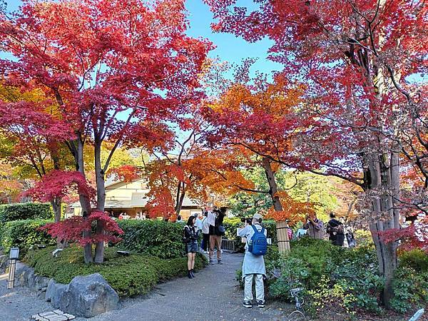 秋色獵人東京旅：日本庭園