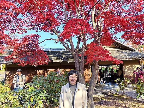 秋色獵人東京旅：日本庭園