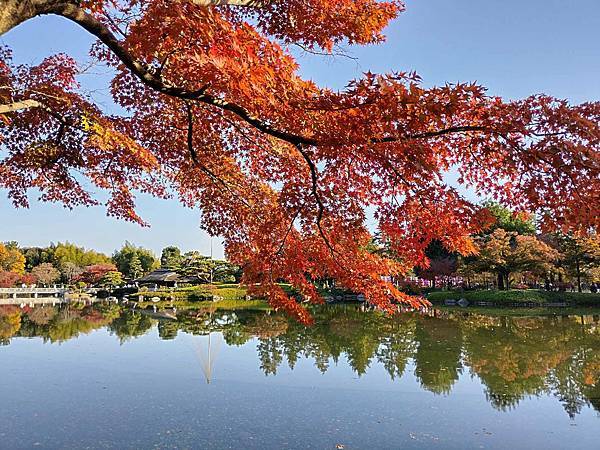 秋色獵人東京旅：日本庭園